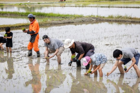 田植えをするのは小学生以来という料理長 三瀨。「子どもたちが一生懸命苗を植えている姿に感心しました!」
