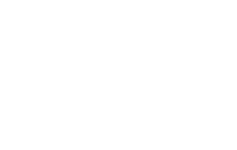 HOTEL VISCHIO KYOTO