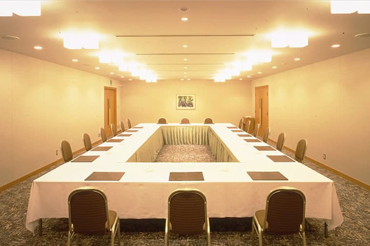 会議や催しに使われる落ち着いた雰囲気の小規模ホール