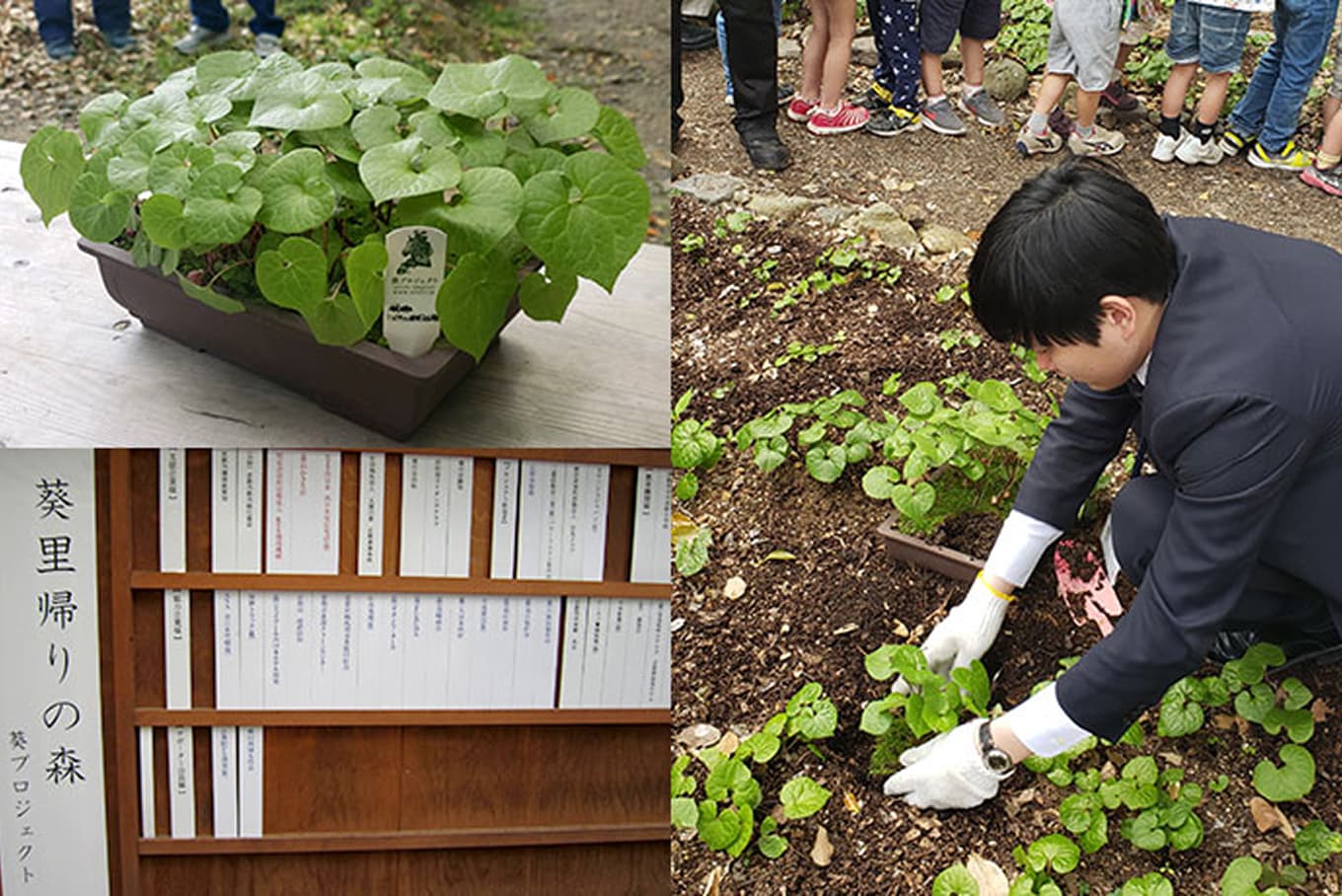 ホテルスタッフが植物を植えている様子と、ホテルの取り組みを示すボードや植木鉢のコラージュ。