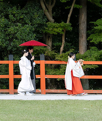 伝 -TSU TA E- イメージ