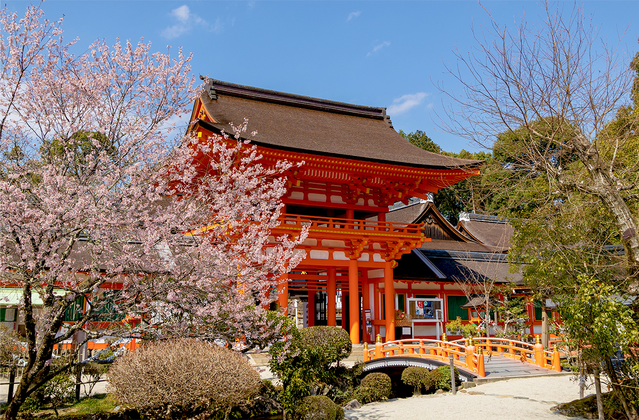 伝 -TSU TA E- イメージ